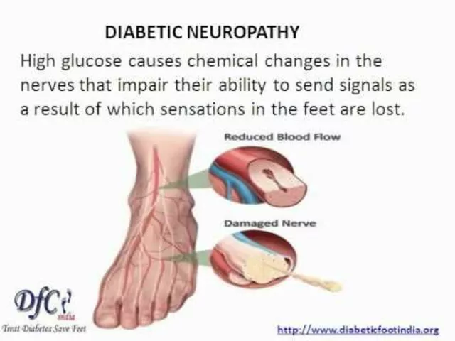 The Role of Vitamin B12 in Diabetic Peripheral Neuropathy Management