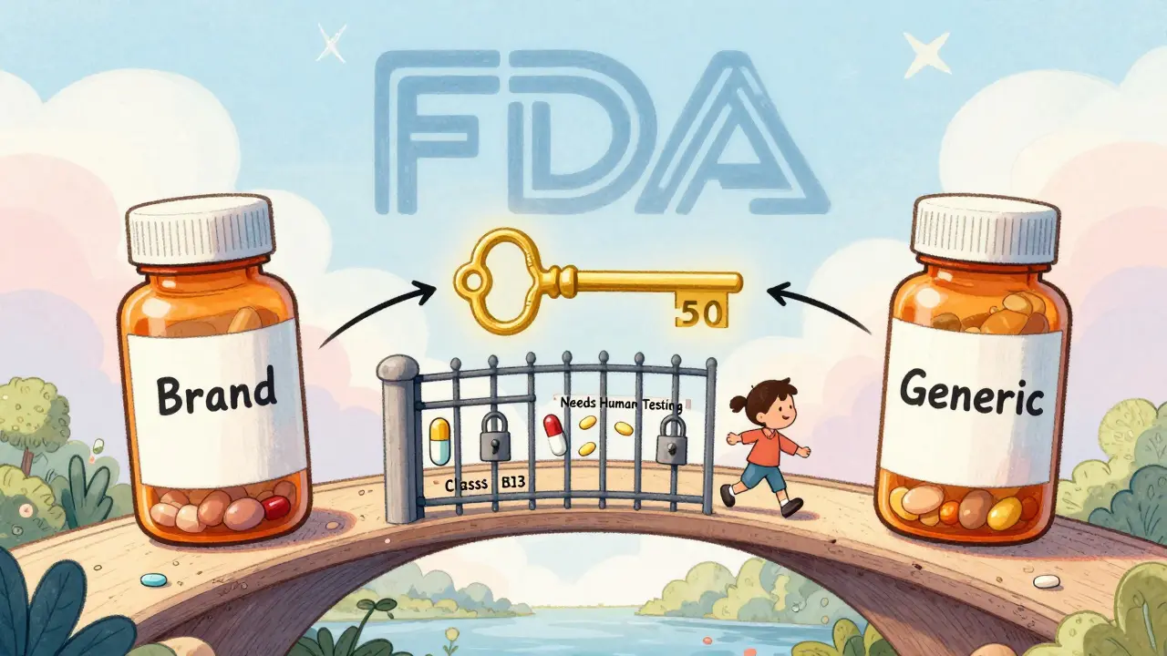 A golden bridge of dissolution curves connects two pills, letting Class I and III drugs cross while others wait behind bars.